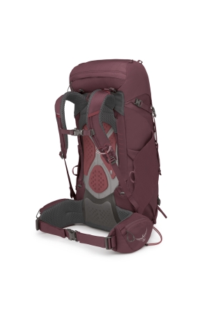 Osprey Kyte 38 Women's Elderberry Purple 3017-214 dagrugzakken online bestellen bij Kathmandu Outdoor & Travel