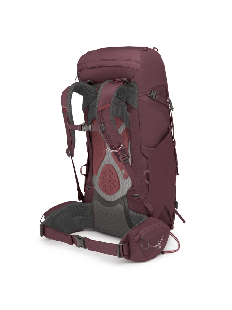 Osprey Kyte 38 Women's Elderberry Purple 3017-214 dagrugzakken online bestellen bij Kathmandu Outdoor & Travel