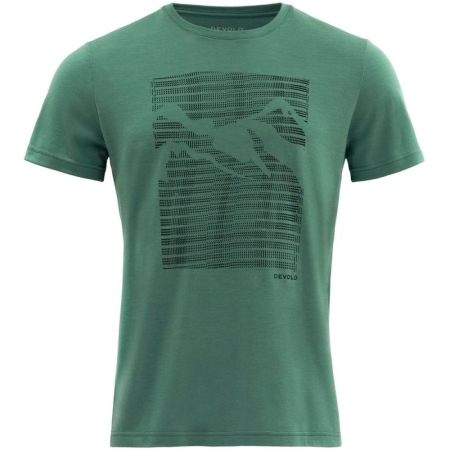 Devold  Havtaka Merino 150 Tee Grass