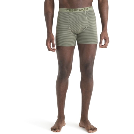 Icebreaker  Anatomica Boxers  Lichen/Loden/S