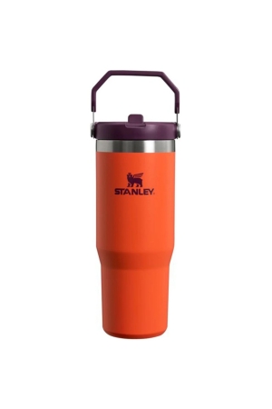 Stanley  The IceFlow Flip Straw Tumbler 0,89L Tigerlily Plum  