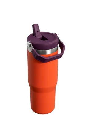 Stanley The IceFlow Flip Straw Tumbler 0,89L Tigerlily Plum  10-09993-314 drinkflessen en thermosflessen online bestellen bij Kathmandu Outdoor & Travel