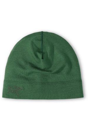 Arc'teryx  Rho LTW Toque Eden