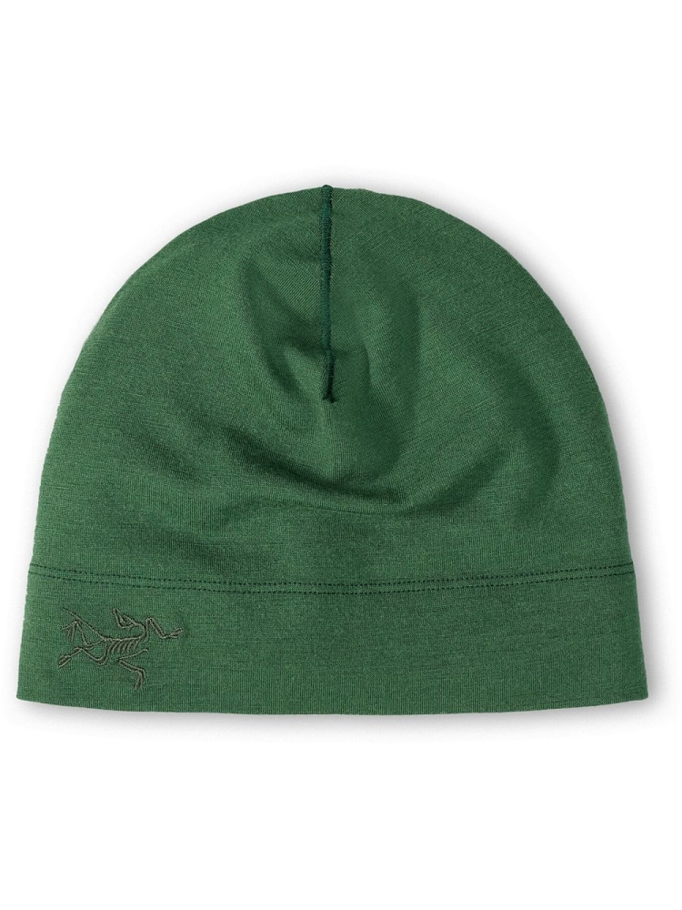 Arc'teryx Rho LTW Toque Eden 5990-Eden kleding accessoires online bestellen bij Kathmandu Outdoor & Travel