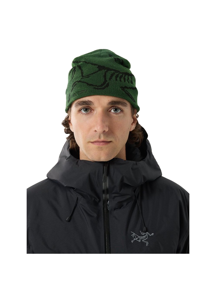 Arc'teryx Bird Head Toque Eden / Black 6756-Eden / Black kleding accessoires online bestellen bij Kathmandu Outdoor & Travel