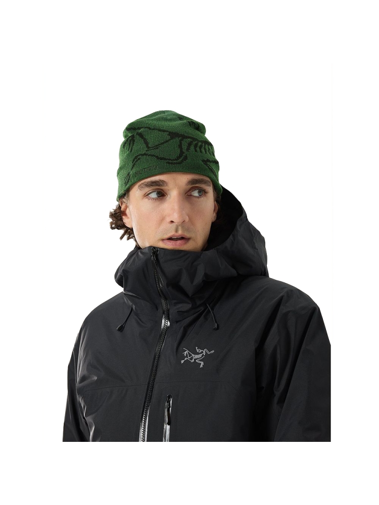 Arc'teryx Bird Head Toque Eden / Black 6756-Eden / Black kleding accessoires online bestellen bij Kathmandu Outdoor & Travel