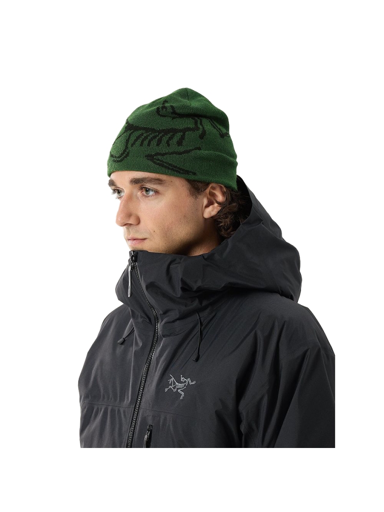 Arc'teryx Bird Head Toque Eden / Black 6756-Eden / Black kleding accessoires online bestellen bij Kathmandu Outdoor & Travel