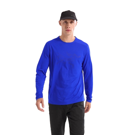 Arc'teryx  Cormac Logo Ls  Vitality Heather / Black Sapph