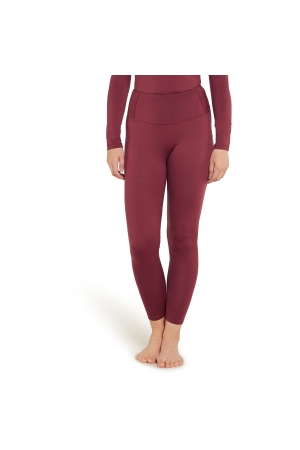 Icebreaker  Mer 260 Tech High Rise Leggings Women's Port