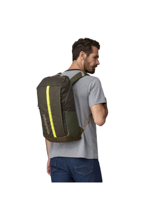 Patagonia  Black Hole Pack 25L Pine Needle Green 