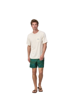 Patagonia Hydropeak Volley Shorts - 16 in. Cliffs and Coves: Conifer Gree 86435-CLGN broeken online bestellen bij Kathmandu Outdoor & Travel