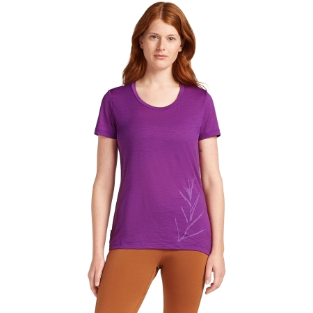 Icebreaker  Mer 150 Tech Lite SS Scoop Tee Panax Women's Passion 